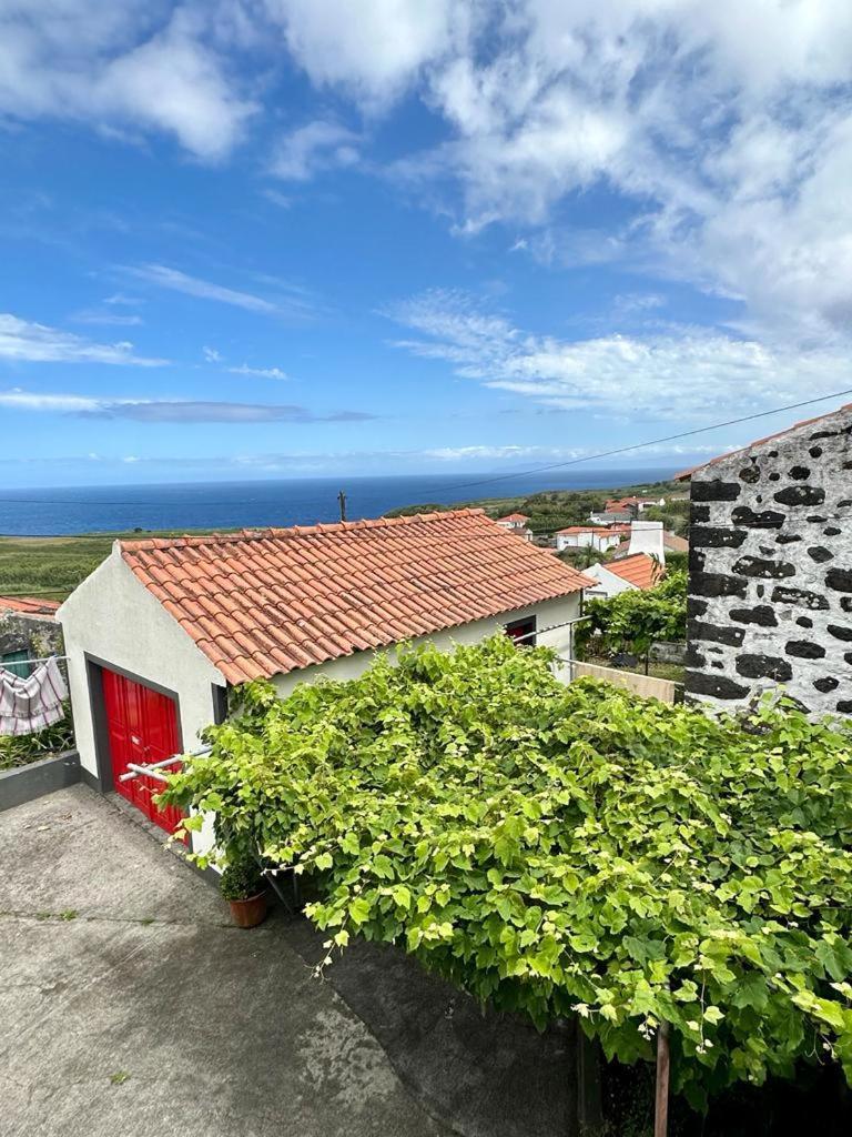 Casa Anjos Holiday Cottages Cedros Екстер'єр фото
