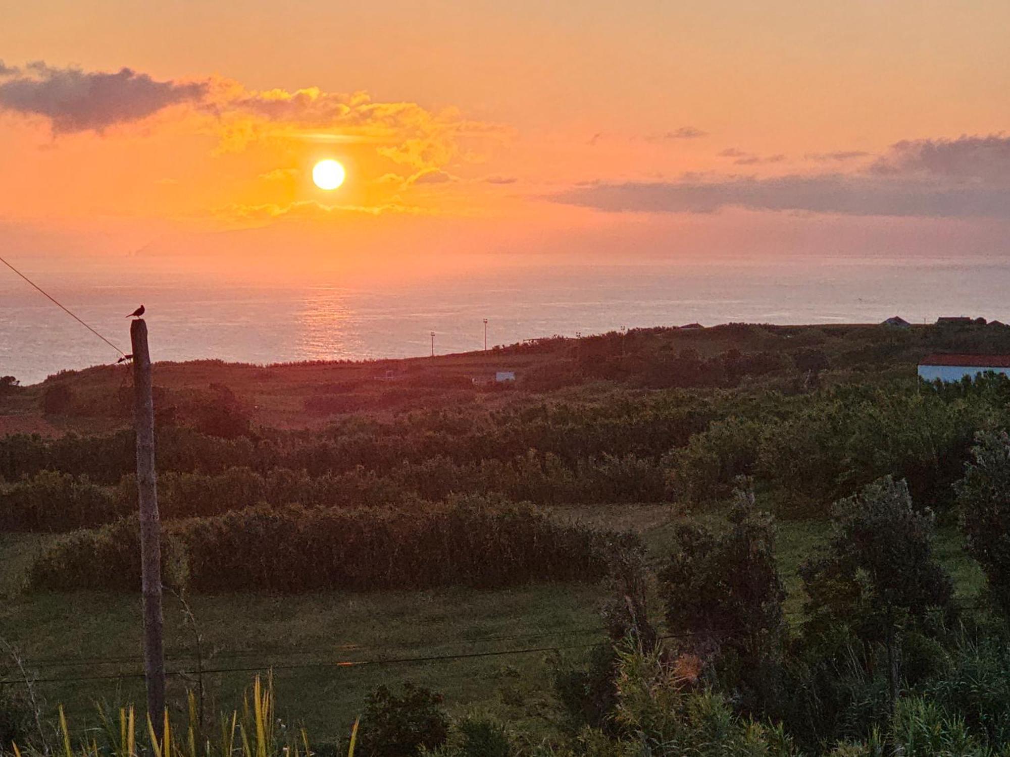 Casa Anjos Holiday Cottages Cedros Екстер'єр фото
