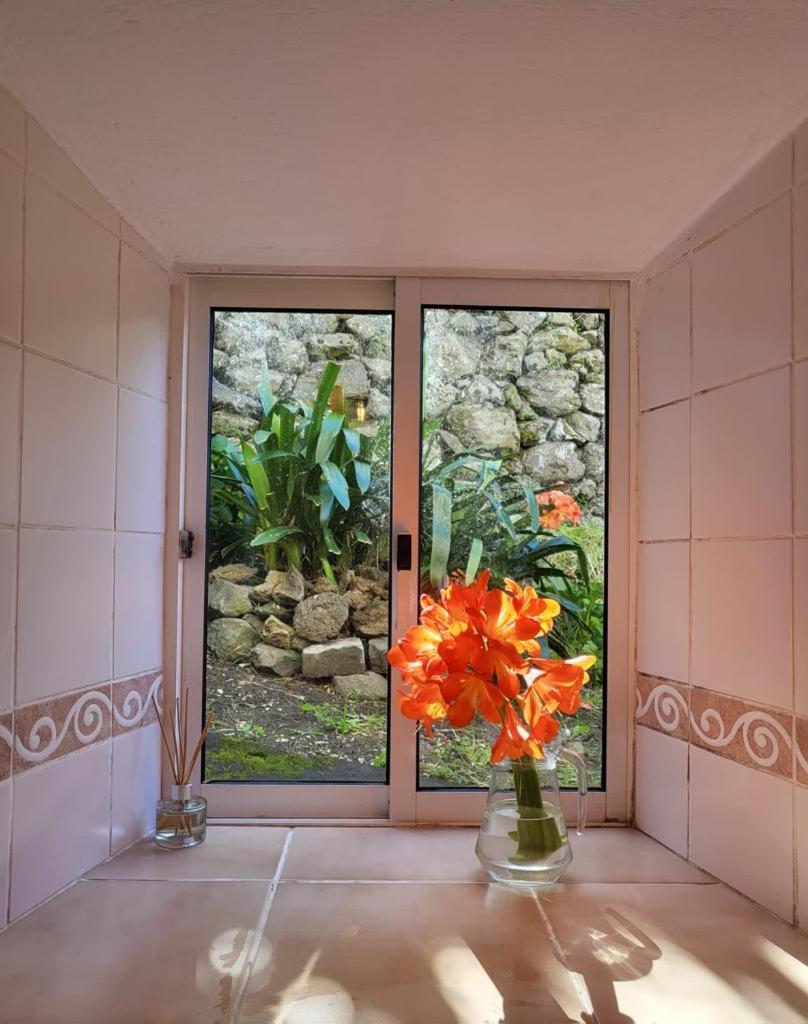 Casa Anjos Holiday Cottages Cedros Екстер'єр фото