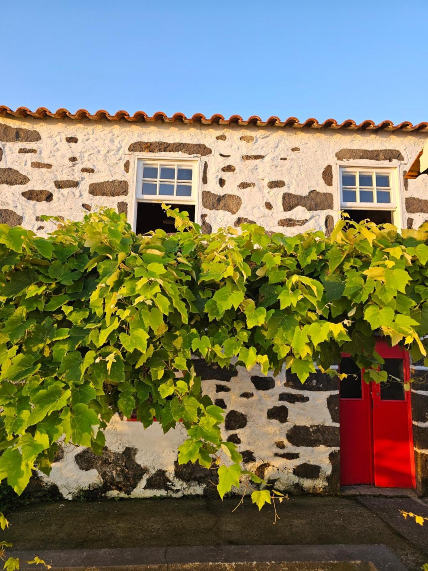 Casa Anjos Holiday Cottages Cedros Екстер'єр фото